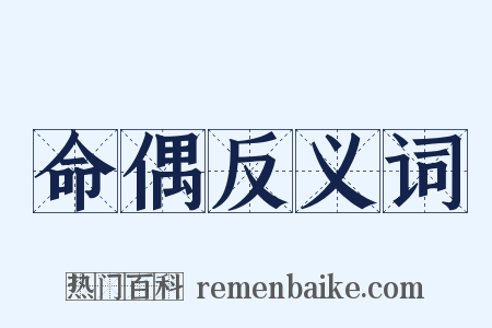 命偶反义词是什么意思的图片